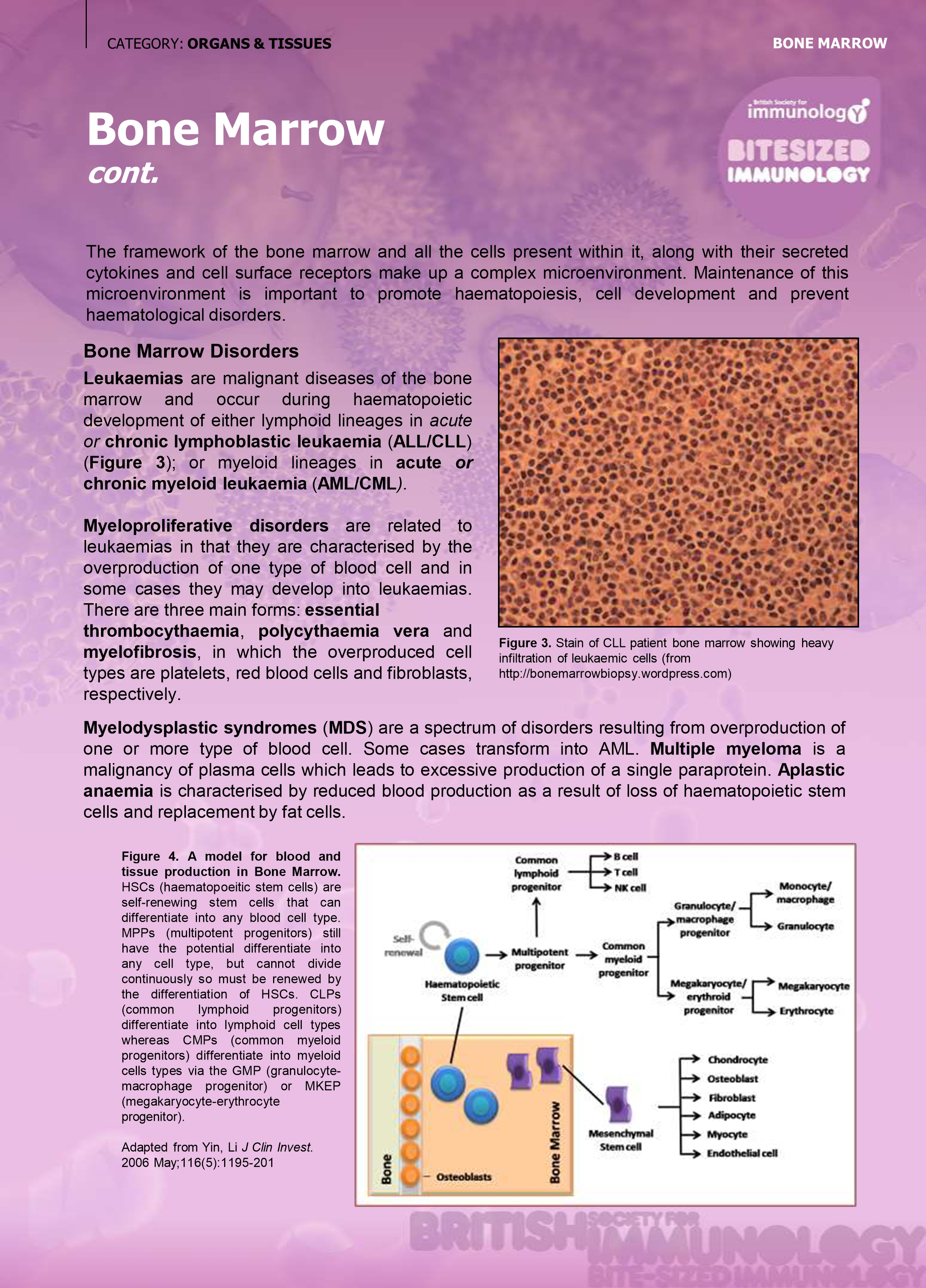 No preview available